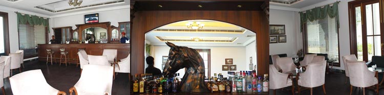 Bar - hari niwas palace jammu - heritage hotel - ajatshatru - J&K - Kashmir vacations - India - holidays packages